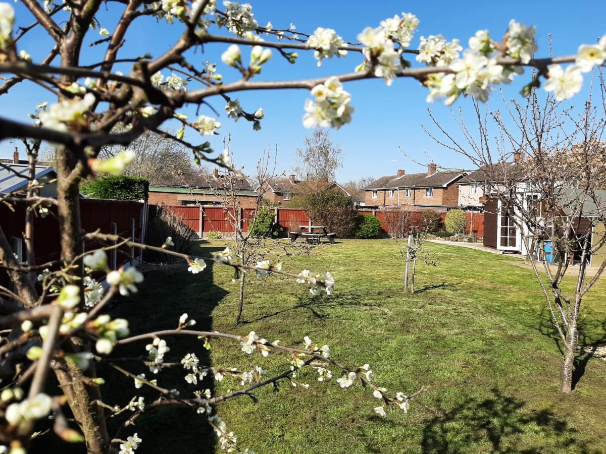 Вілла Huge Garden House For Contractors And Families Оллертон Екстер'єр фото
